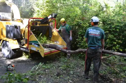 tree services Shelburn